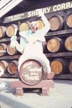 35 mm color slide * September 1966 SAN MARTIN WINERY face in hole photo ... - $5.45