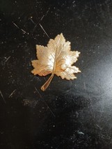 Vintage Sarah Coventry Brooch Gold Tone Pearl Maple Leaf Pin Jewelry  - £4.81 GBP