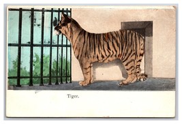 Bengal Tiger in Cage UNP UDB Postcard S25 - $2.92