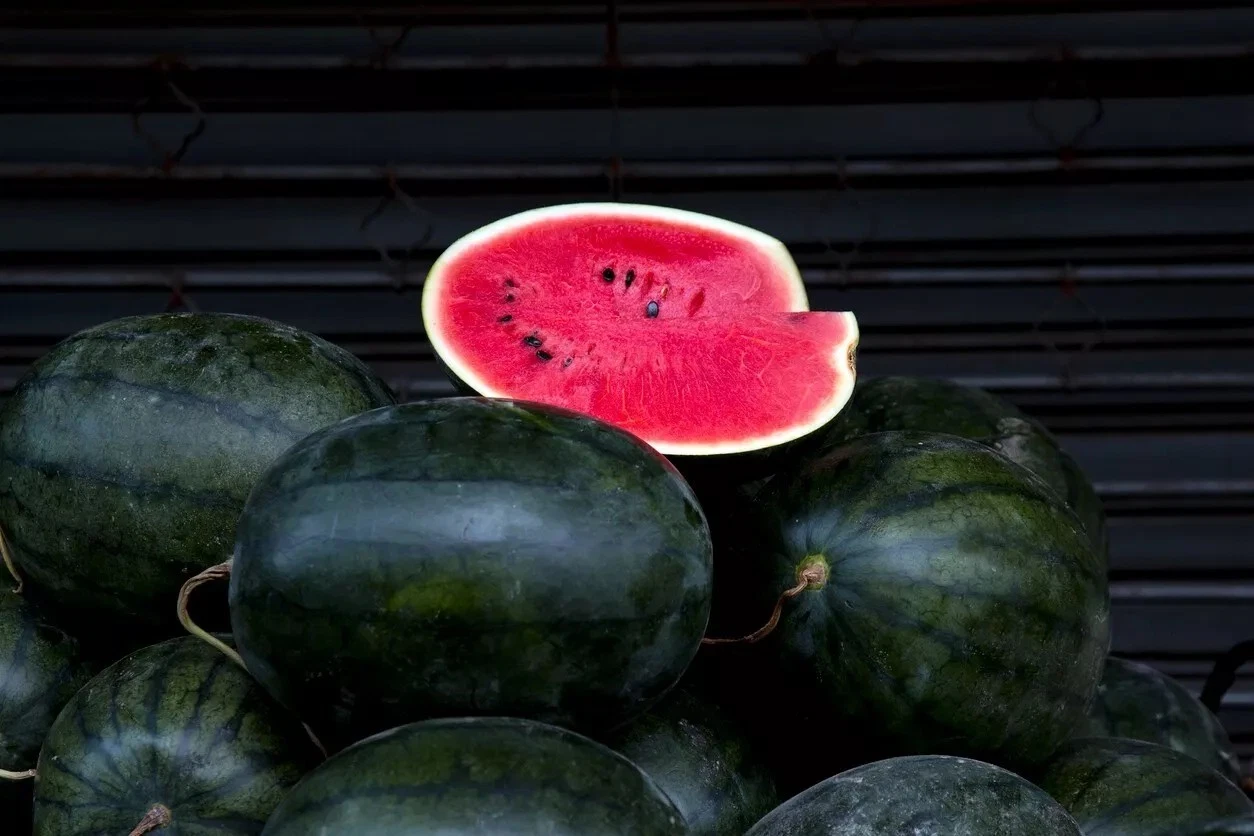 120+ Giant Black Diamond Watermelon Seeds - Heirloom - Organic ------   ... - $13.59
