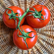 Fresh Seeds 50 Seeds Floradade Tomato Tomatoes Juicy Vegetable Garden - $7.32