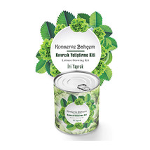 My Canned Garden Seedling Growing Kit Curly - £21.23 GBP