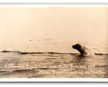 RPPC 1915 SS Corwin Arctic Expedition Polar Bear Climbing Ice UNP Postca... - $17.77