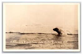 RPPC 1915 SS Corwin Arctic Expedition Polar Bear Climbing Ice UNP Postcard Y15 - £13.94 GBP