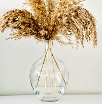 Clear Glass Vase For Pampas Grass Flowers, Clear Vase For Decor,, 7.9 Inch Tall - £23.97 GBP