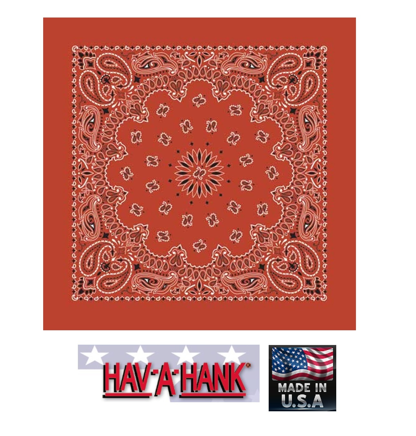 USA MADE Hav-A-Hank BURNT ORANGE PAISLEY Bandana BANDANNA SCARF Scarve Head Wrap