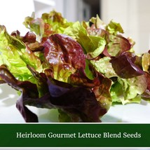 Vegetable Seeds Lettuce Gourmet Blend 250 Seeds Leaf Lettuce Mix Fresh Tasty Sal - $15.28