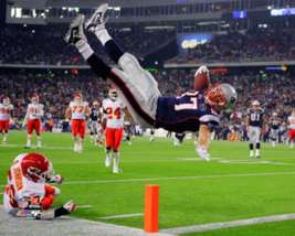Rob Gronkowski &quot;High-Flyer&quot; New England Patriots METAL SIGN 12X8IN - $34.72 CAD