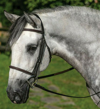 Gatsby English Horse Raised Havana Brn Leather Bridle Horse Cob or Warmblood sz - £35.10 GBP