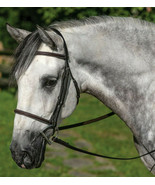 Gatsby English Horse Raised Havana Brn Leather Bridle Horse Cob or Warmb... - £34.53 GBP