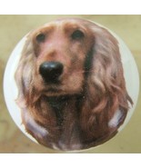 Ceramic Cabinet Knobs Knob w/ Cocker Spaniel 229 DOG - $5.98 CAD
