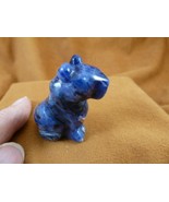 (Y-CHE-574) Blue Sodalite CHEETAH wild cat gemstone GEM figurine BIG CAT... - €16,10 EUR