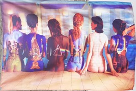 PINK FLOYD Back Catalogue Girls Bodypainting FLAG POSTER BANNER CD - £15.95 GBP