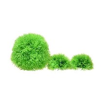 biOrb Aquatic Topiary Moss Balls, Pack of 3, Green  - £34.69 GBP