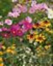500 Seeds! Wildflower Mix Cottage Garden Heirloom Fresh Garden Flower Seeds Usa - £9.41 GBP