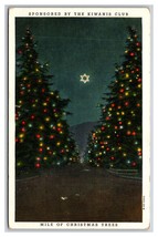 Kiwanis Mile of Christmas Trees Santa Rosa Ave Pasadena CA UNP WB Postcard W20 - £3.12 GBP