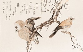 13436.Wall Decor Poster.Room Interior art home design.Japanese birds.Owl - £12.94 GBP+