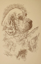 Clumber Spaniel Dog Art Print #61 DRAWING FROM WORDS Kline draws dogs na... - £38.89 GBP
