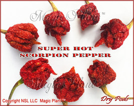 Scorpion Pepper Whole Dried Pods  8oz (226.8g) | Trinidad Scorpion Peppers - £28.44 GBP