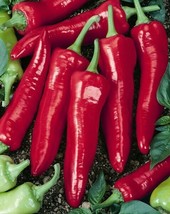 Pepper Italian Giant Marconi 25 Fresh Organic Seeds Heirloom Non Gmo Usa - £7.81 GBP