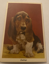 Vintage Postcard Unposted Dogs  Basset Hound Dog - £2.22 GBP