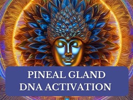 Pineal Gland DNA Activation - £25.48 GBP