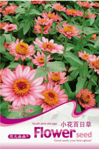 1 Original Pack, 50 seeds Zinnia Elegans Pink Youth-and-Old-Age with Little Flow - £2.78 GBP
