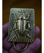 (E-806) large Cockroach on rectangle brass Eyeglass pin pendant ID badge... - $34.50 CAD