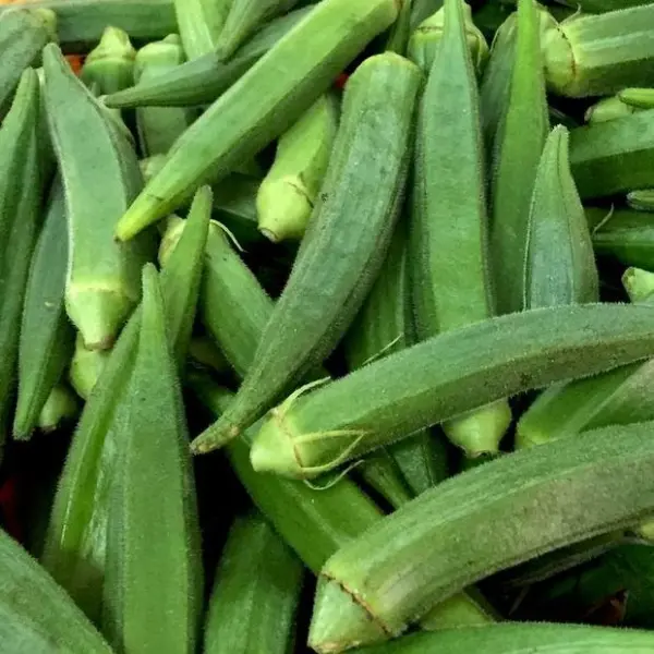 Okra Clemson Spineless 50 Ct Vegetable Fresh Seeds - £9.47 GBP