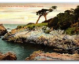 Ostrich Tree on 12 Mile Drive Monterey California CA UNP DB Postcard T1 - $4.90