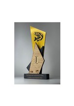 Gold Trophy/ Gold Awards/ 1st, 2nd, &amp; 3rd Trophies/ Personalised Trophy/  - £46.38 GBP