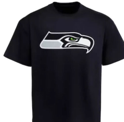Primary image for Seattle Seahawks NFL Team Apparel Youth Kids Tee L (14-16) Dark Charcoal Gray