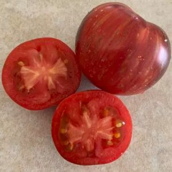 50 Seeds Red Lightning Tomato Vegetable Edible Canning Gardening Fresh U... - $12.50