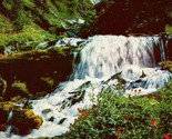 Three Sisters Oregon OR Linton Springs Waterfall Vtg Sierra Club Chrome ... - $2.92
