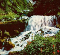 Three Sisters Oregon OR Linton Springs Waterfall Vtg Sierra Club Chrome Postcard - £2.29 GBP