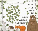 36&quot; X 44&quot; Panel Animals Calendar Oh How They Grow Cotton Fabric Panel D7... - $12.95