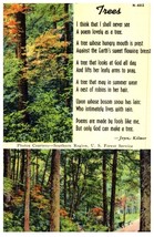 Joyce Kilmer Author Of Trees Poem Flowers Postcard - £7.08 GBP