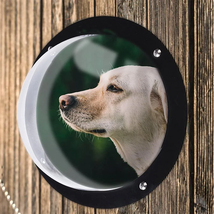 Semi-Circular Acrylic Pet Fence Window: The Perfect Peek For Your Furry ... - £21.54 GBP