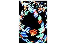 Item image 14