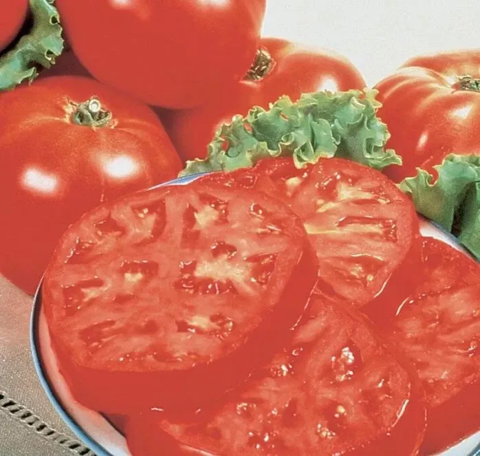 50 Seeds Supersteak Tomato Vegetable Garden - $9.70