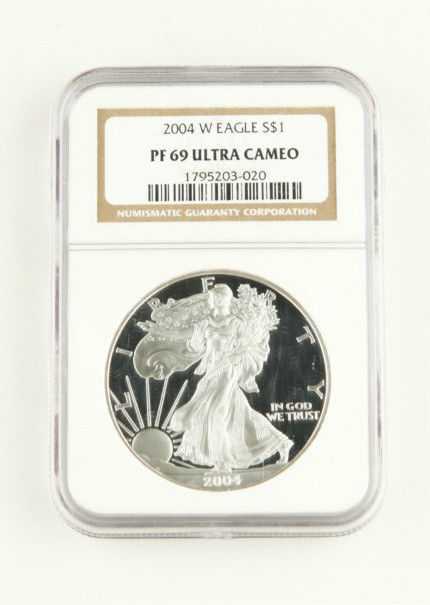 2004 W PROOF $1 AMERICAN EAGLE 1 Oz SILVER FLAWLESS NGC PF 69 ULTRA CAMEO COIN - $99.79