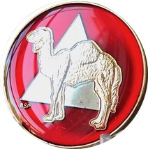 Camel AA Medallion Metallic Mandarin Red Color Tri-Plate Sobriety Chip - £11.98 GBP