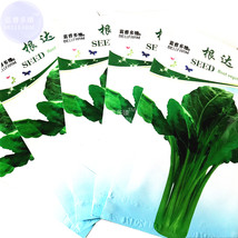 Beta Vulgaris Beets Green Chinese Vegetable Seeds 5 Packs 50 Seeds/Pack Organic  - $9.72