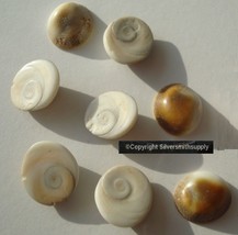 8 Spiral Seashell charms NOT drilled cabochon Beach Decor Nautical NSS003 - £1.51 GBP