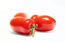 SEEDS  == 10 Seeds San Marzano Roma Tomato  -Good for Sauce and Fresh- Freezing  - £3.16 GBP
