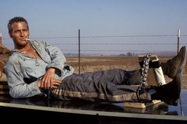 Paul Newman in Cool Hand Luke in chains smoking cigarette 18x24 Poster - £18.79 GBP