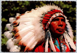 Postcard  American Indian Chief Head Dress Regalia Native indigenous - $5.34