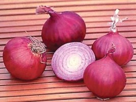 ONION - Red Creole, onios Allium Cepa vegetable herb salad spice seed -100 seeds - £6.75 GBP