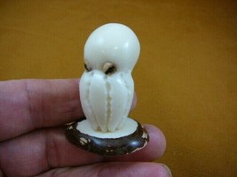 TNE-OCTO-297-D) little white Octopus octopi TAGUA NUT figurine carving o... - $21.03