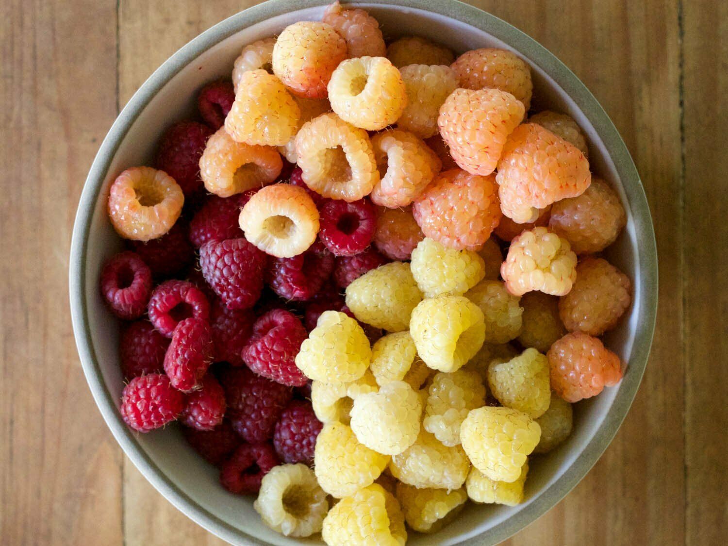 Raspberry plants 4 plants natural varieties NON GMO - $33.20+